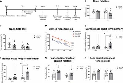 Characterization of circRNA-Associated-ceRNA Networks Involved in the Pathogenesis of Postoperative Cognitive Dysfunction in Aging Mice